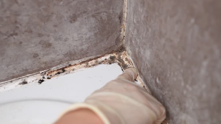 Best Indoor Air Quality Assessment  in Phoenixville, PA